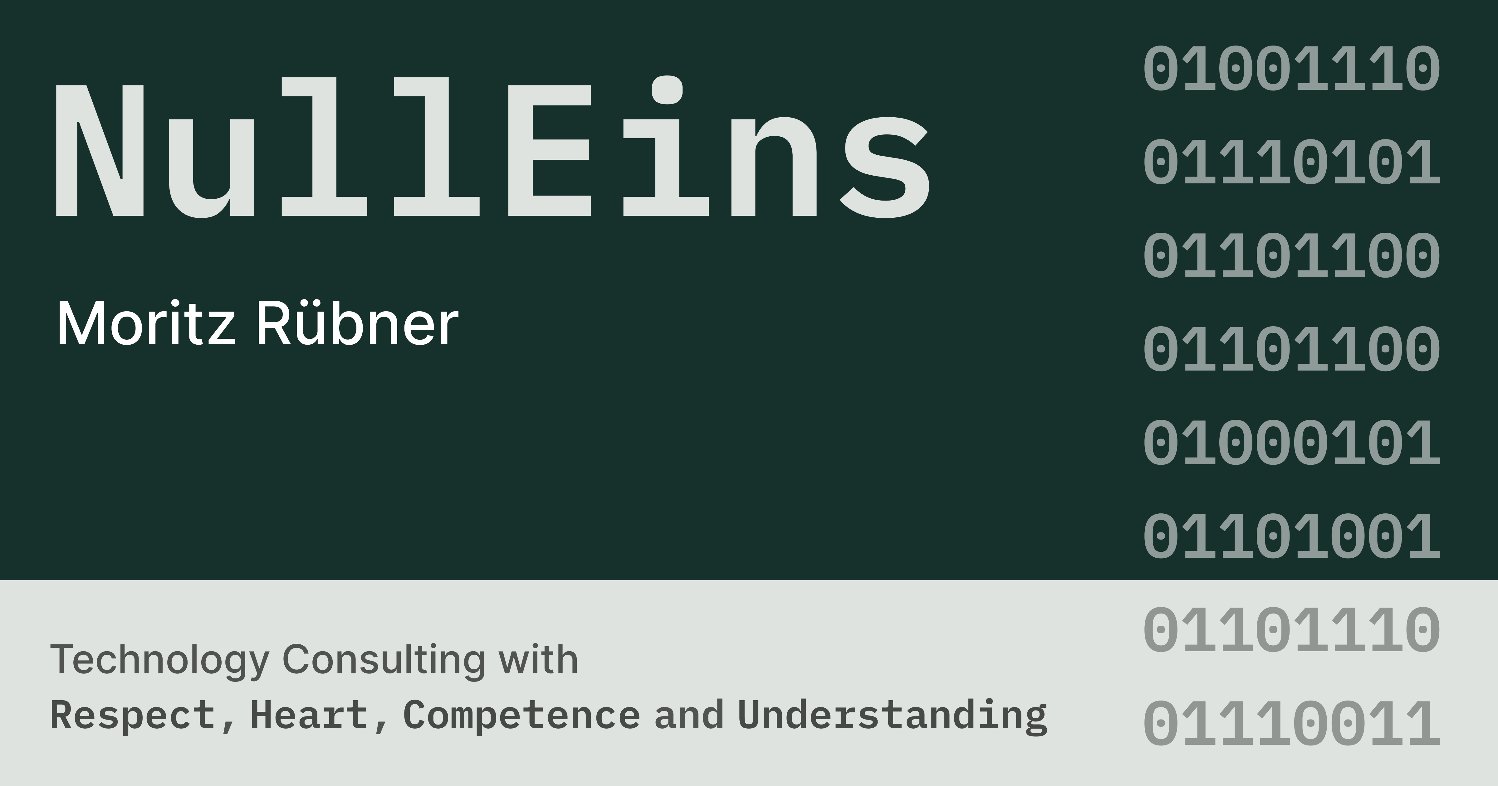 NullEins logo